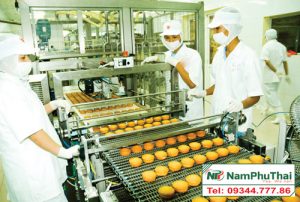 Dây chuyền sản xuất bánh trung thu chất lượng đạt chuẩn