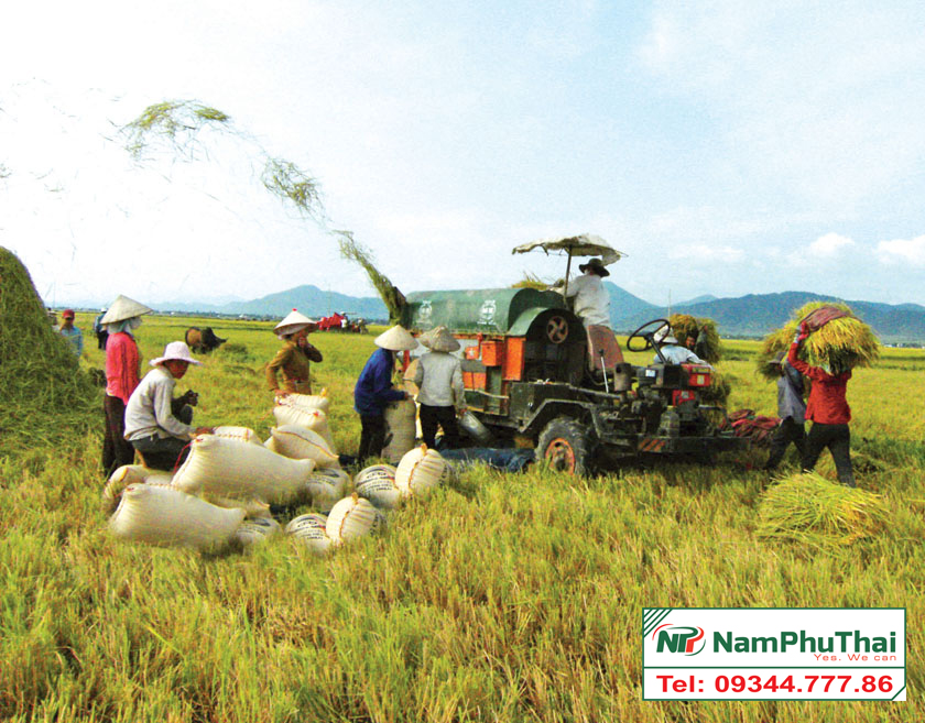 Đổi mới phát triển nền nông nghiệp Việt Nam